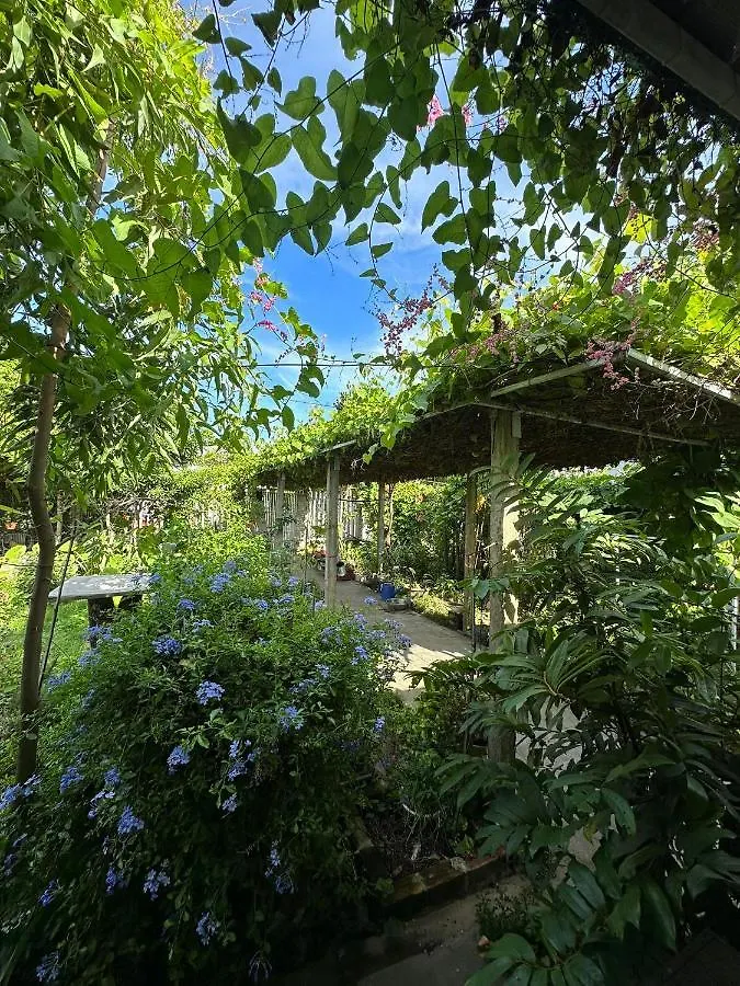 ホームステイ ダナン市Vom Vom Garden Houseアパートメント ベトナム