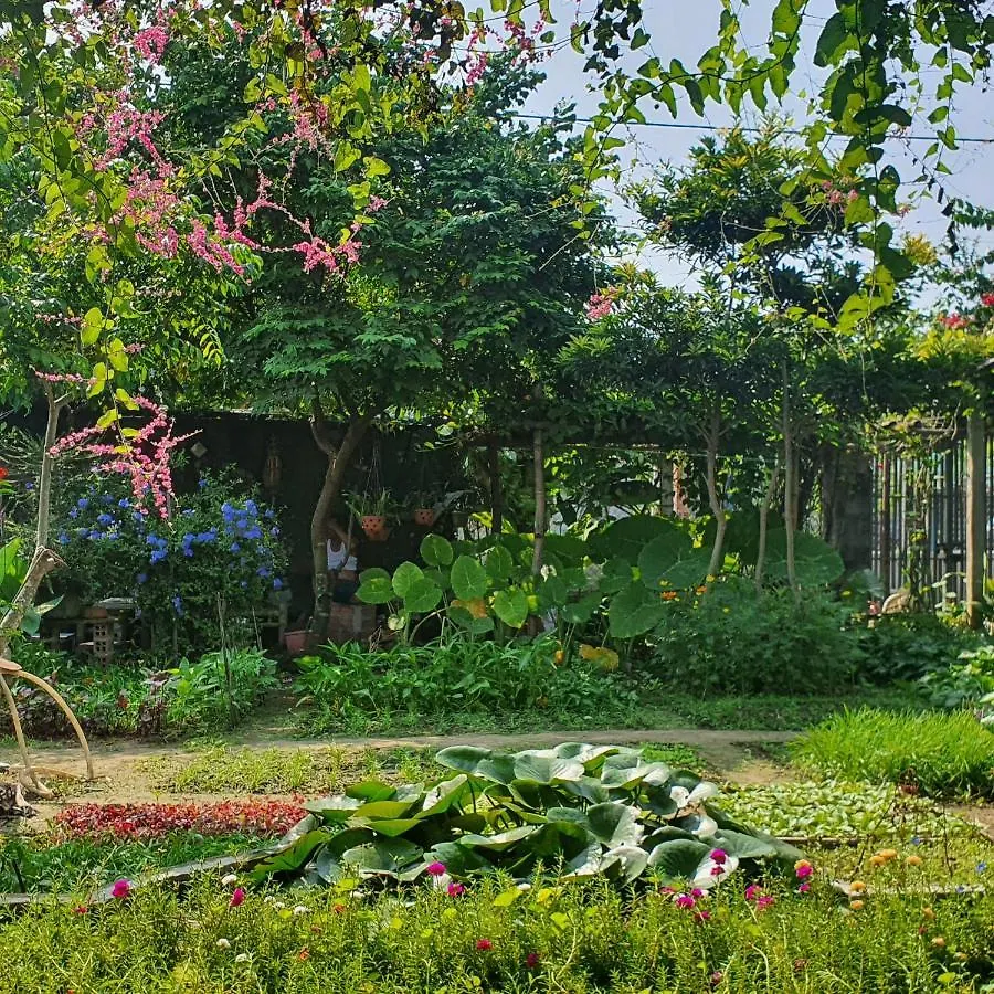Vom Vom Garden House Apartment Da Nang