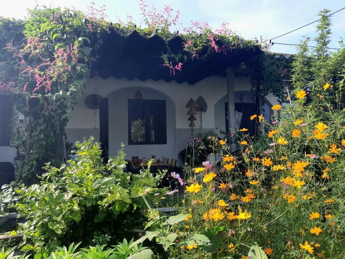 ホームステイ ダナン市Vom Vom Garden Houseアパートメント ベトナム