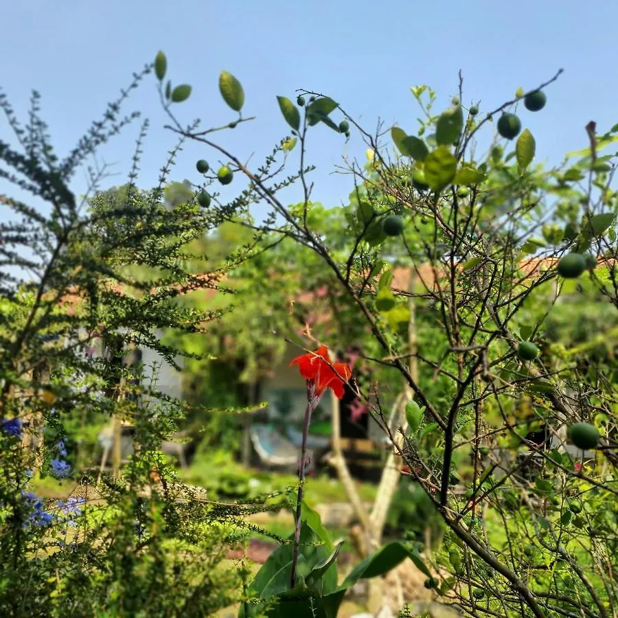 ホームステイ ダナン市Vom Vom Garden Houseアパートメント