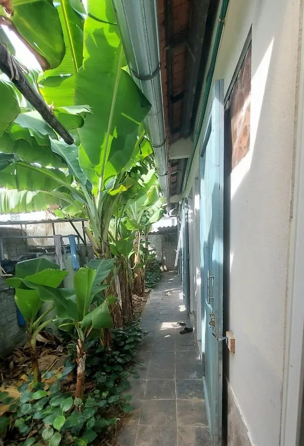 ダナン市Vom Vom Garden Houseアパートメント 0*, ダナン市