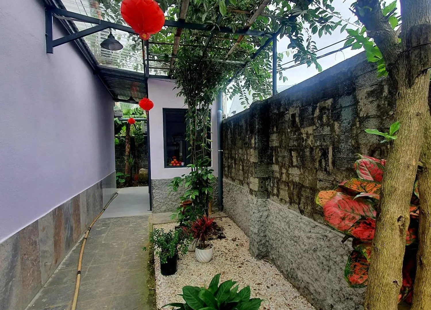 Vom Vom Garden House Apartment Da Nang
