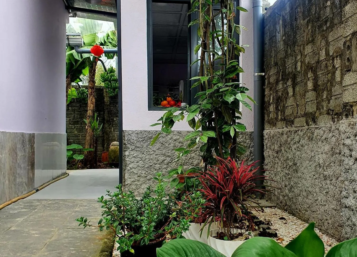 Homestay Vom Vom Garden House Apartment Da Nang
